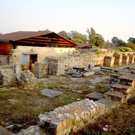 Dionisos Hotel Mytikas  Esterno foto